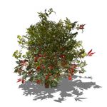 Very Low poly generic shrub. Approx. 4ft / 1.2m hi...
