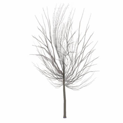 Very low-poly tree (50 faces). It casts no shadow,.... 
