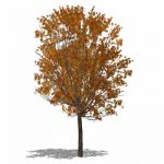 One of a series of very low-poly trees (57 faces),...