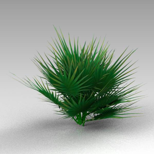 A small fan palm approx 5' / 1.8m high.
SketchUp .... 