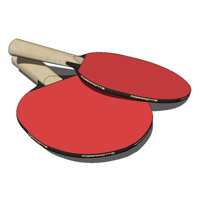 Table tennis paddle. 
