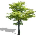 2D Tree