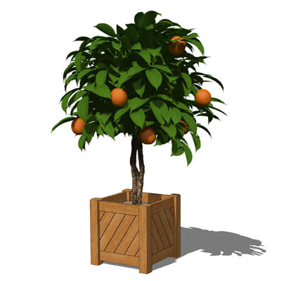 Small, low-poly orange tree ball in a variety of p.... 