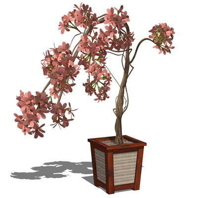 Small, low-poly shrub in a variety of pots. The pl.... 