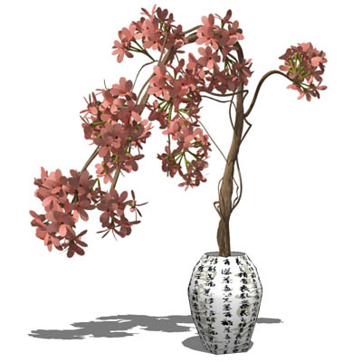 Small, low-poly shrub in a variety of pots. The pl.... 