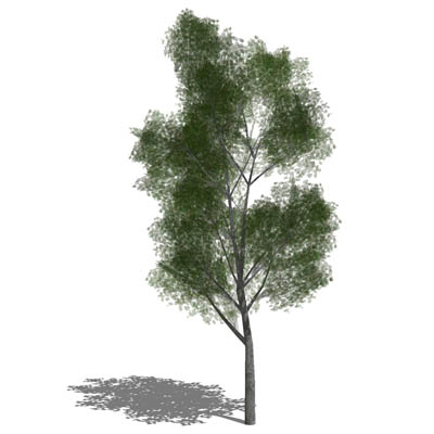 Generic tree in opaque and semi-transparent config.... 