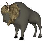 An American Bison, created with sketchup 6.4