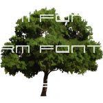 NPR deciduous tree. transparent png.