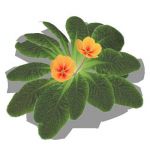 View Larger Image of FF_Model_ID10653_1_waterplant.jpg