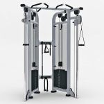View Larger Image of FF_Model_ID11825_Life_fitness_Dual_adjustable_Pulley_set_FMH.jpg