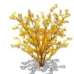 View Larger Image of Forsythia