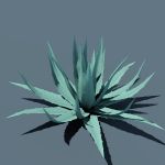 View Larger Image of Agave 02