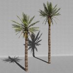 View Larger Image of FF_Model_ID15633_DatePalmset10copia.jpg