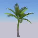 View Larger Image of King Palm