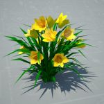 View Larger Image of Day Lily
