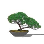 View Larger Image of FF_Model_ID16304_bonsai04_thumb.jpg