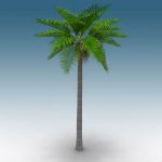 View Larger Image of Queen Palm