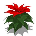 View Larger Image of 1_poinsettia.jpg