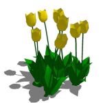 View Larger Image of Tulips