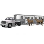 View Larger Image of FF_Model_ID5478_Trailer_Horse_000.jpg