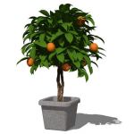 View Larger Image of Potted Plant 02