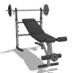 View Larger Image of FF_Model_ID8789_weightbench.jpg